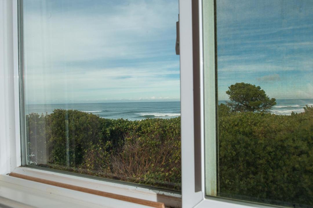 Photo of Others in Seal Rock