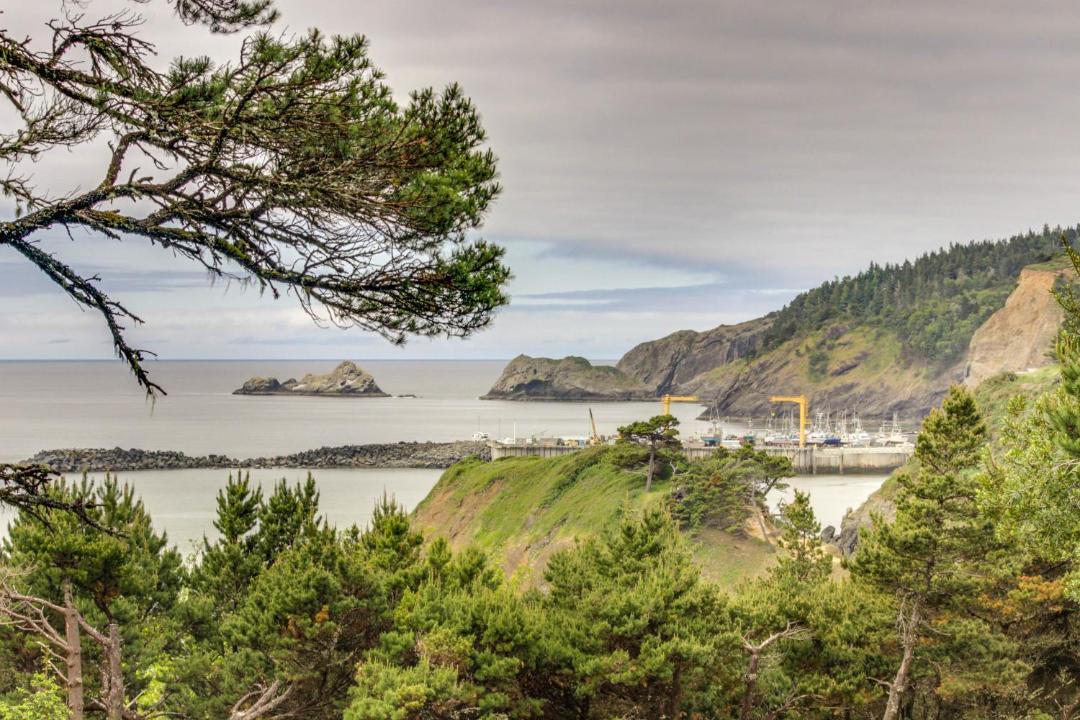 Photo of Others in Port Orford