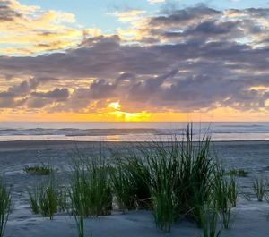 Night Thru Of Beach 