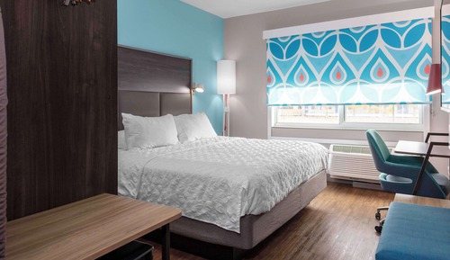 Room, 1 King Bed