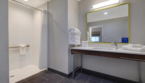 Basic Studio, 1 King Bed (Roll-In Shower)