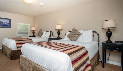 Economy Single Room, Multiple Beds (Not Pet Friendly)