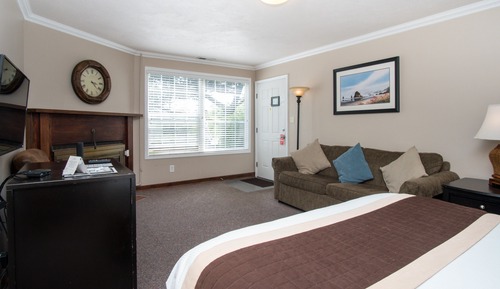 Premier Studio Suite, 1 Queen Bed with Sofa bed, Fireplace