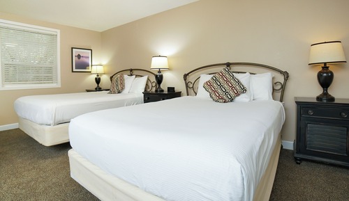Economy Single Room, Multiple Beds, Non Smoking