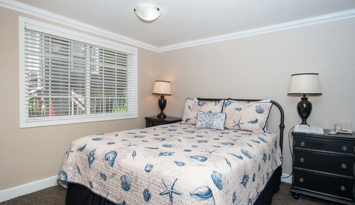 Economy Double Room Single Use, 2 Queen Beds (Pet Friendly)