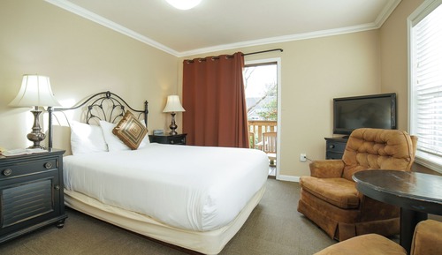Deluxe Room, 1 Queen Bed (Not Pet Friendly)