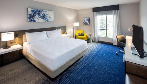 Room, 1 King Bed