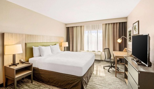 Room, 1 King Bed with Sofa bed, Non Smoking