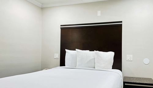 Standard Room, 1 Queen Bed, Accessible Roll-In Shower, Non Smoking