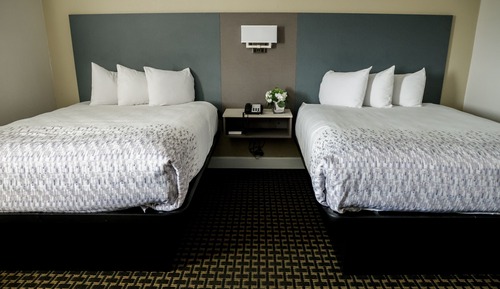 Standard Room, 2 Queen Beds, Ocean View