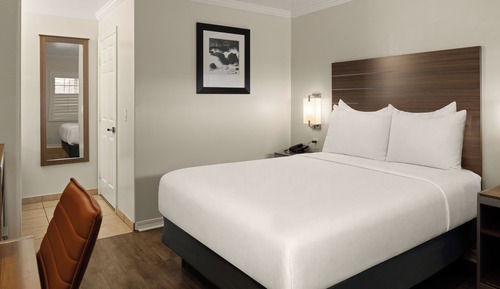 Room, 1 King Bed
