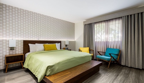 Deluxe Room, 1 King Bed, Roll-in Shower