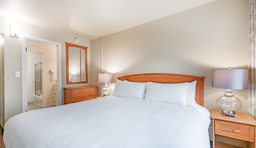 Room, 1 King Bed with Sofa bed