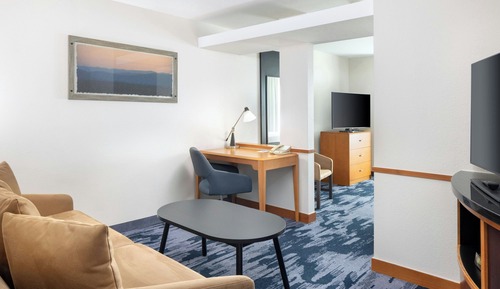 Suite, 1 King Bed with Sofa bed