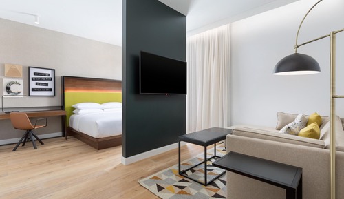 Studio, 1 King Bed with Sofa bed