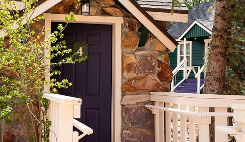 Unit 4-Anna's Hummingbird-The Accessible Alpine Studio