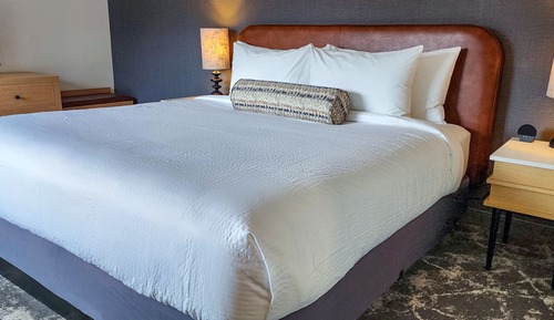 Studio, 1 King Bed, City View