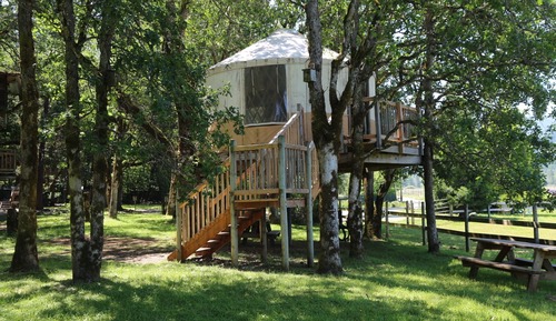 The Yurttree