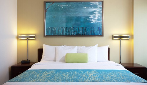 Suite, 1 King Bed with Sofa bed (Mobility/Hearing Access, Roll-In Shwr)
