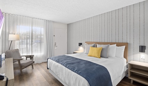 Single Room, 1 Queen Bed, Accessible (Roll-In Shower)