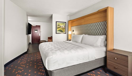 Suite, 1 King Bed with Sofa bed