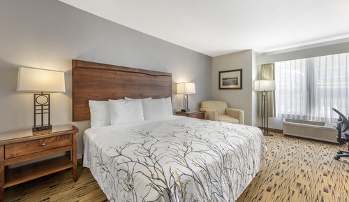 Standard Room, 1 King Bed, Accessible, Refrigerator & Microwave
