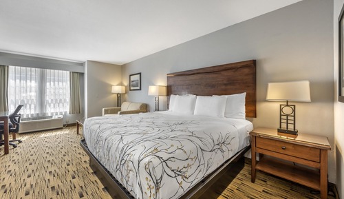 Standard Room, 1 King Bed, Non Smoking, Refrigerator & Microwave (No View)