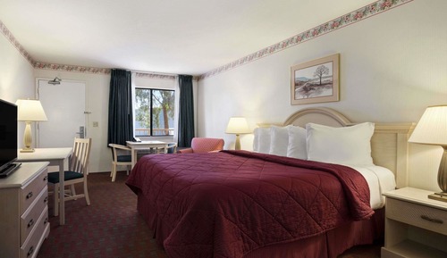 Room, 1 King Bed, Non Smoking