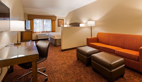 Standard Room, 1 King Bed, Non Smoking, Refrigerator (with Sofabed)