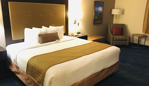 Standard Room, 1 King Bed, Accessible, Refrigerator & Microwave