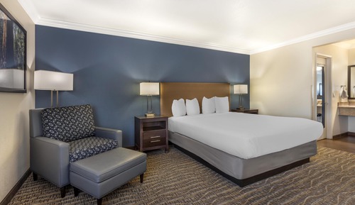 Standard Room, 1 King Bed, Non Smoking, Refrigerator & Microwave