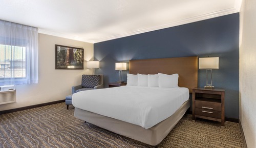 Standard Room, 1 King Bed, Accessible, Non Smoking