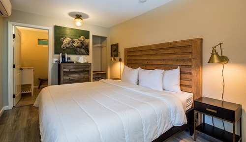 Studio, 1 King Bed