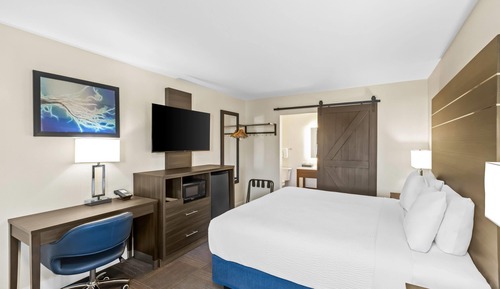 Standard Room, 1 King Bed