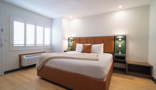 Deluxe Single Room, 1 King Bed, Non Smoking