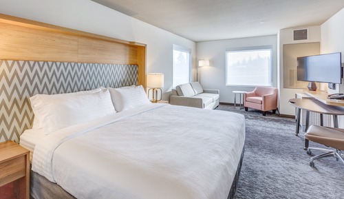 Standard Room, 1 King Bed with Sofa bed