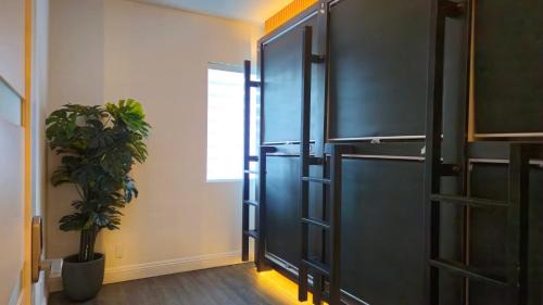 Bunk Bed in Mixed Dormitory Room