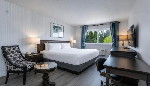 Standard King Room