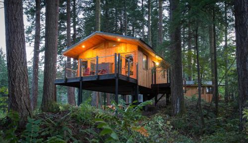 Alder Tree House
