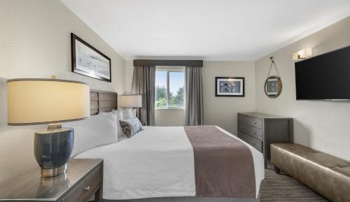 King Suite with Sofa Bed - Partial Ocean View