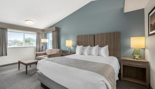 King Room with Roll-In Shower and Private Patio - Disability Access/Non-Smoking
