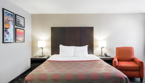 King Room with Mobility/Hearing Impaired Access - Non-Smoking