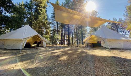 Tent