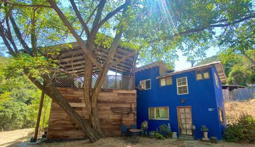 One-Bedroom House