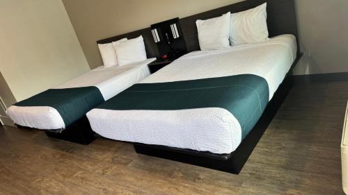 Queen Room with Two Queen Beds - Disability Access - Roll In Shower