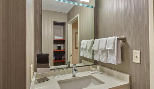Suite, 1 King, Sofa bed