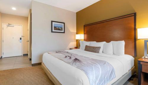 King Room with Mobility Accessible Roll-In Shower