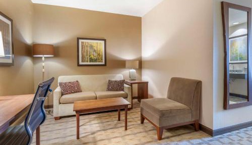King Suite with Fireplace and Spa Shower - Garden View/Non-Smoking