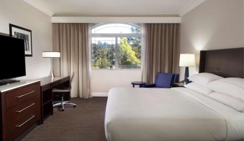 1 King Suite with Sofa Bed and Fireplace