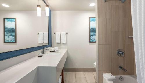 King Suite - Hearing Access/Non-Smoking